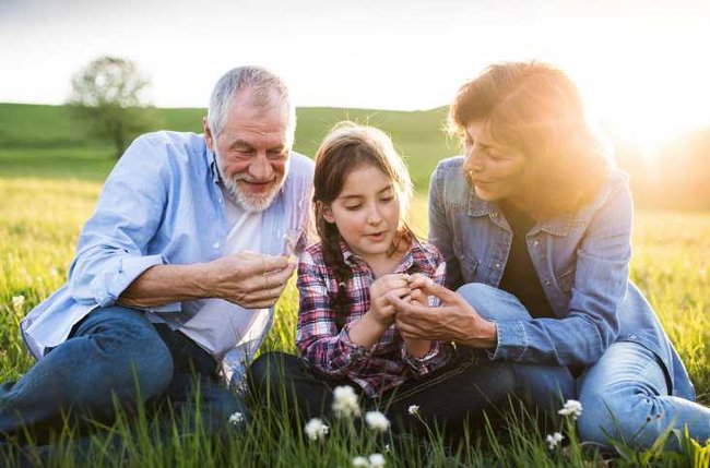 Ein Großelternpaar sitzt gemeinsam mit deren Enkeltochter in der Mitte auf einer Wiese und betrachtet interessiert ein Blatt